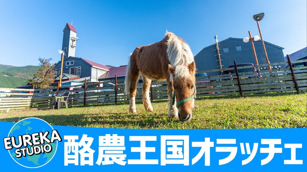 酪農王国オラッチェ