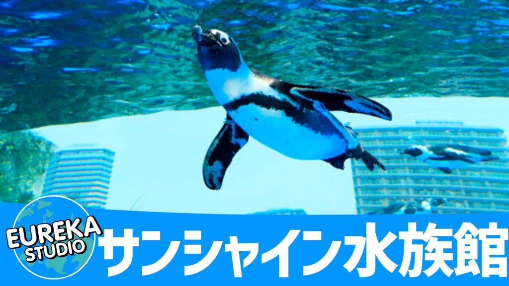 サンシャイン水族館