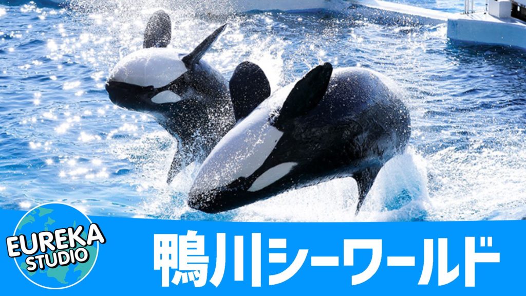 鴨川シーワールド