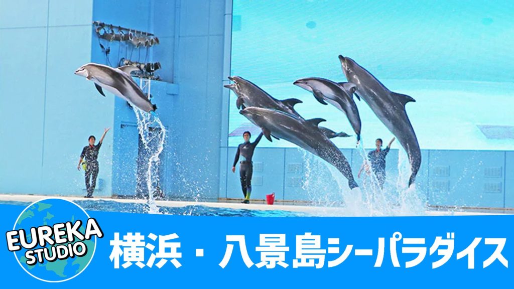 横浜・八景島シーパラダイス