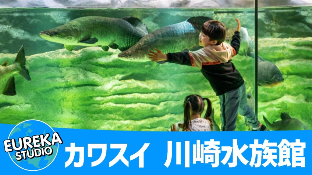 カワスイ 川崎水族館