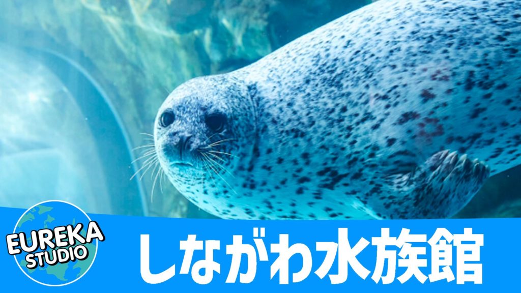 しながわ水族館